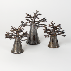 BAOBAB GM